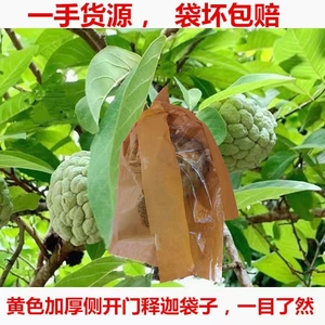 加厚释迦果套袋专用袋林檎果袋刺果番荔枝纸袋赖球佛头水果套袋