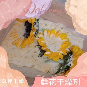 极速鲜花干燥剂玫瑰干花制作永生花植物标本手工DIY重复使用促销