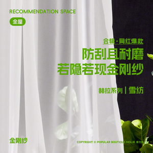 摩力克窗帘金刚纱简约客厅隔断窗纱卧室2023年新款纱帘沙透光窗纱