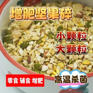 鹦鹉坚果碎大集合零食辅食美毛增肥饲料零食训练奖励中小中大型