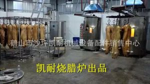 多功能电热烧腊炉广东烧腊炉黄金脆皮烤猪炉 电炉 电烤炉烤猪炉