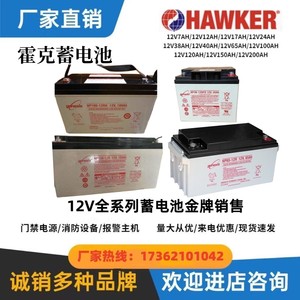 霍克蓄电池12V7A12A17A24A38A40A65A100A120A150A200A铅酸免维护