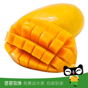 广西小台农芒果新鲜3斤水果包邮当季现摘小台芒果热带新生芒整箱