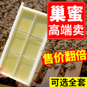 巢蜜包装盒蜂巢盒子全套塑料巢框用蜂蜜块巢蜜框一斤装养蜂工具新