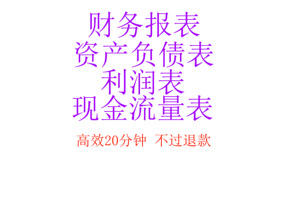 银行贷款财务报表资产负债表利润表现金流量表招投标年审年报附注