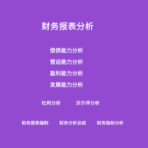 财务报表分析代做上市公司年报分析财务指标分析四大能力分析杜邦