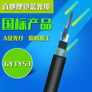GYTY53-24b1.3单模铠装光纤4/8/12/16/36/48/144芯室外直地埋光缆