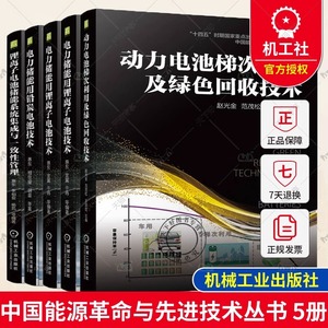 5册 电力储能用锂离子电池技术+系统安全技术与应用+铅炭电池技术+动力电池梯次利用及绿色回收技术+锂离子电池储能系统集成  书籍