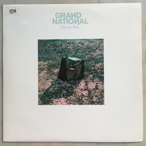 Grand National ‎- Cherry Tree 缓拍电子 7寸LP黑胶