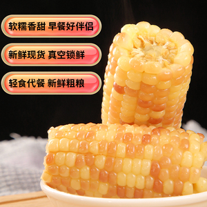 云南四季新鲜香糯小玉米真空包装西双版纳傣家包谷粗粮代餐