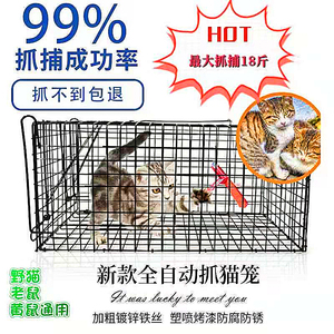 捕猫神器抓猫笼全自动逮猫神器人道救助捉猫笼超市商场捕猫笼