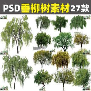 Z161园林景观水边植物柳树垂柳PS立面效果图后期PSD分层素材