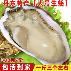 丹东野生鲜活带壳生蚝特大生吃牡蛎海蛎子新鲜刺身海鲜水产一斤