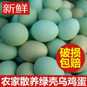 新鲜绿壳乌鸡蛋农家散养绿壳土鸡蛋笨鸡蛋新鲜天然绿壳蛋包邮