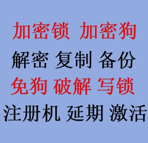 usbkey圣天诺超级狗微狗软件宏狗加密狗加密锁备份克隆免狗复制