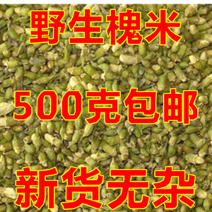 中药材米槐花 槐花茶槐米茶 500克包邮农家采摘新货槐米