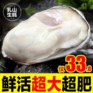 5斤乳山生蚝鲜活新鲜特大海蛎子带箱海鲜牡蛎水产整箱商用批发10