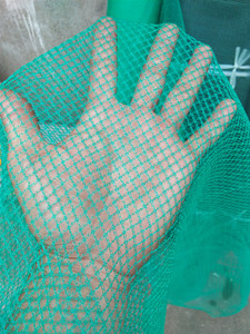 聚乙烯无结网菜园网防护网渔网布隔离网防跳网捕鱼网养鸡网5毫米