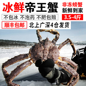 新鲜帝王蟹海鲜水产鲜活冻10澳洲超特大龙虾鲍鱼螃蟹礼包3.5-4斤