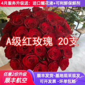 A级高原红传奇红玫瑰鲜花云南昆明斗南市场基地直批直发家用水养