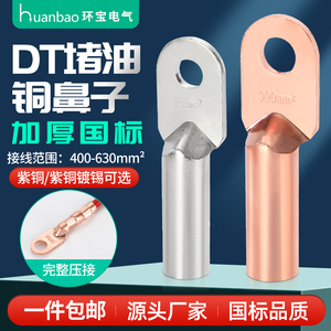 国标A级 DT-300/400/500/630平方 铜鼻子 电缆线接头 铜线耳线鼻