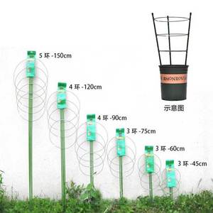 园艺用品植物支撑固定爬藤花架包塑铁丝圆环状支柱花支架工具