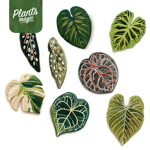【植物魔法】热带植物刺绣胸针 原创设计手工徽章 张颂文老师同款