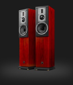 惠威RM300F前置主音箱HiFi音箱落地音箱