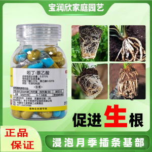 护花匠引吲朵哚叮丁奈荼乙酸吲哚丁酸萘乙酸胶囊扦插生根粉生根剂