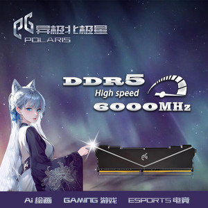 EG异极北极星D5内存条 DDR5 6000HZ 16G 黑色白色马甲 台式机内存