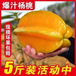 现货漳州甜杨桃5斤水果新鲜酸甜洋桃当季热带阳桃扬涛五角星包邮