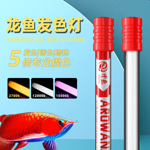 金龙红龙鱼专用增色发色灯烤色灯nec鱼缸灯2700K三基色T5潜水灯管
