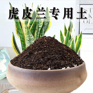 虎皮兰专用土虎皮兰优质土壤养花种花泥土营养土通用种植土