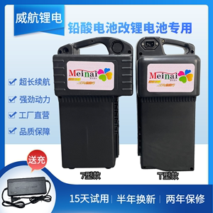 48v12ah爱玛飞鸽电动车铅酸改锂电池专用7型T型20a外卖大容量电瓶