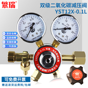 YST12X-0.1L双级二氧化碳培养箱专用减压阀调节器压力表 上海繁瑞