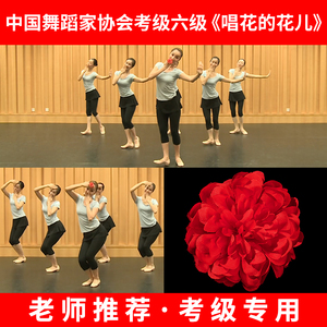 中国舞蹈家协会六级唱花儿的指花儿童民族民间舞蹈考级道具手腕花