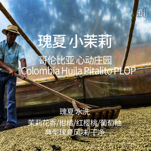 小茉莉瑰夏PLOP心动庄园水洗新产季咖啡生豆哥伦比亚进口