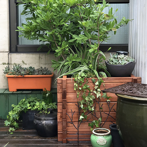 花卉绿植环保实木特大精品组合花坛花箱家庭菜园diy方便拼装促销 阿里巴巴找货神器 花卉绿植环保实木特大精品组合花坛花箱家庭菜园diy方便拼装促销 阿里巴巴找货神器