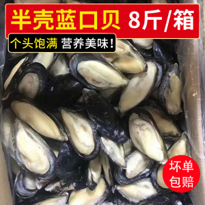 半壳冷冻包冰蓝口贝8斤去箱7斤带冰黑口贝贻贝青口贝淡菜冷冻海鲜