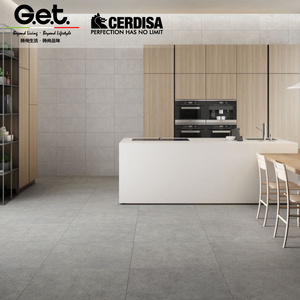 CERDISA 意大利进口瓷砖北欧客餐厅哑光灰色水磨石颗粒防滑地板砖