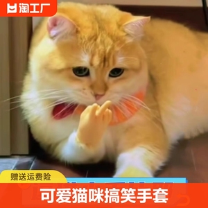 猫咪手套迷你搞笑人手小手逗猫玩具剪刀比耶小猫手套爪子弹力指套