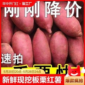 新鲜蜜薯9斤板栗红薯沙地糖心地瓜农家自种番薯现挖烟薯香薯山芋