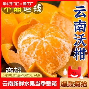 云南高山沃柑9斤水果新鲜大果桔子橘子当季砂糖皇帝蜜柑整箱包邮