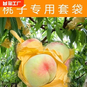 桃子专用套袋水蜜桃冬桃蟠桃黄桃专用纸袋防鸟虫枇杷水果果树套袋
