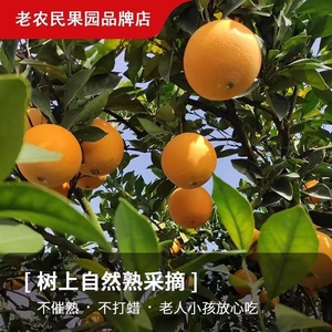 正宗赣南脐橙产地直发新鲜现摘9斤20特产水果橙子