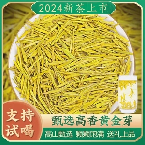 黄金芽茶叶2024新茶明前特级高山绿茶毛峰500g浓香型自己农嫩芽