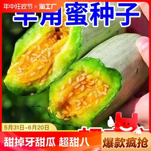 羊角蜜甜瓜种籽香瓜子西瓜四季水果种孑大全超甜阳台玉女种植播种