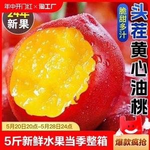 黄心油桃5斤大桃子新鲜水果当季整箱包邮3水密桃黄肉孕妇蜜脆桃10