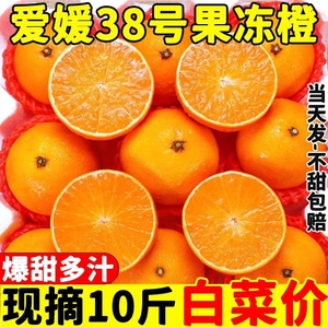 正宗爱媛38号果冻橙10四川水果新鲜当季整箱斤柑橘甜橙大果5精品