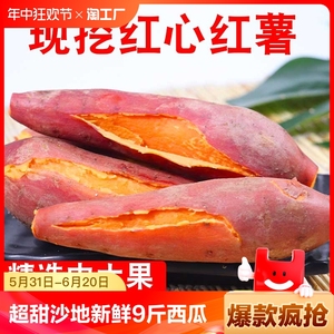 超甜沙地蜜薯新鲜红薯2/3/5/9斤西瓜红番薯地瓜山芋芍红薯种子中